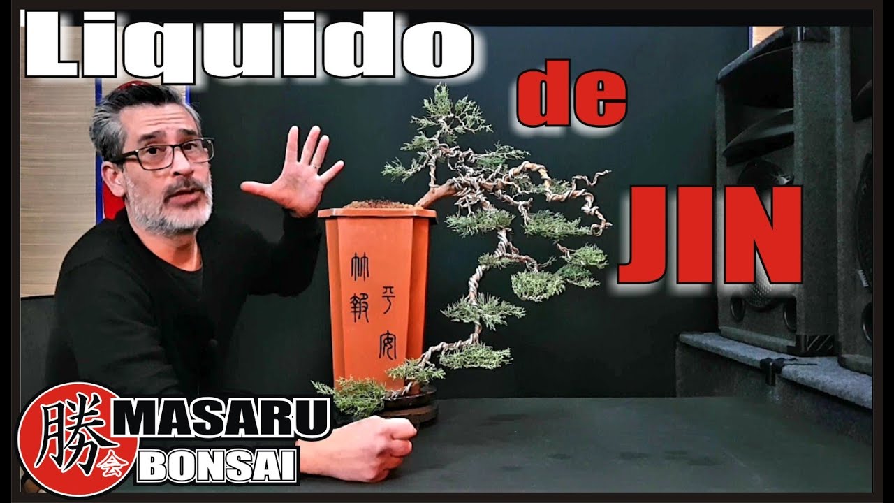 COMO APLICAR LIQUIDO DE JIN !! Y PARA QUE?? . EN UN BONSAI DE CASCADA