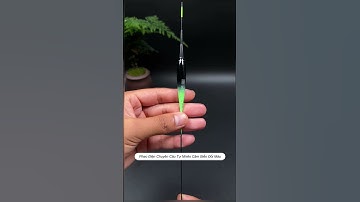 Phao điện cảm biến đổi màu chuyên câu trắm chép #fishing #shorts