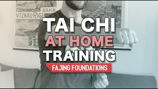 Тайцзицюань дома - тренировка основ фацзин. screenshot 4