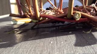 How to make a willow basket