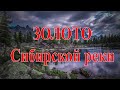 Золото Сибирской реки! (видео от друзей)