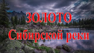 Золото Сибирской реки! (видео от друзей)