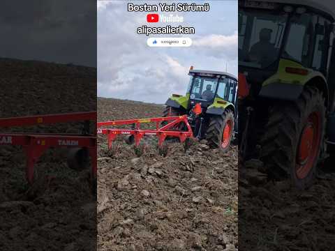 5' li 12 Numara İle Sürüm #traktör #tarım #alipasalierkan #claas #ares557 #pulluk #akartarım #tarla