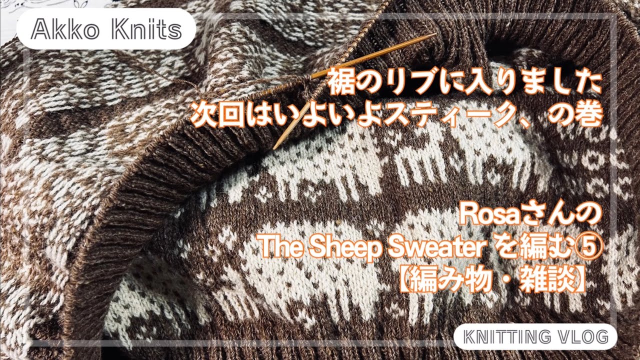 【編み物・雑談】次回はいよいよスティーク切るぞ、今後の作業についての妄想、の巻　The Sheep  Sweater を編む⑤