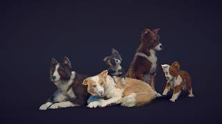Skye the Border Collie (Realisitic) 🐶 🎁50% Off (First 2 Weeks)
Hey everyone! Meet Skye!! our newest pet! 🐶
200+ Anims 60FPS. 40 Color styles. 30 Blenshapes!
Let me know what other animations I can add :) Enjoy!
https://assetstore.unity.com/packages/3d/characters/animals/skye-the-border-collie-dog-378638?aid=1100lHT6 Skye the Border Collie (Realisitic) 🐶 🎁50% Off (First 2 Weeks)