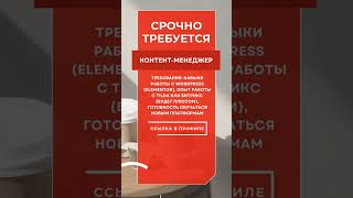 Копирайтинг на удалёнке: полный гайд для новичков
