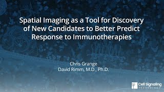 Spatial Imaging as a Tool for Discovery of New Candidates to Predict Response to Immunotherapies