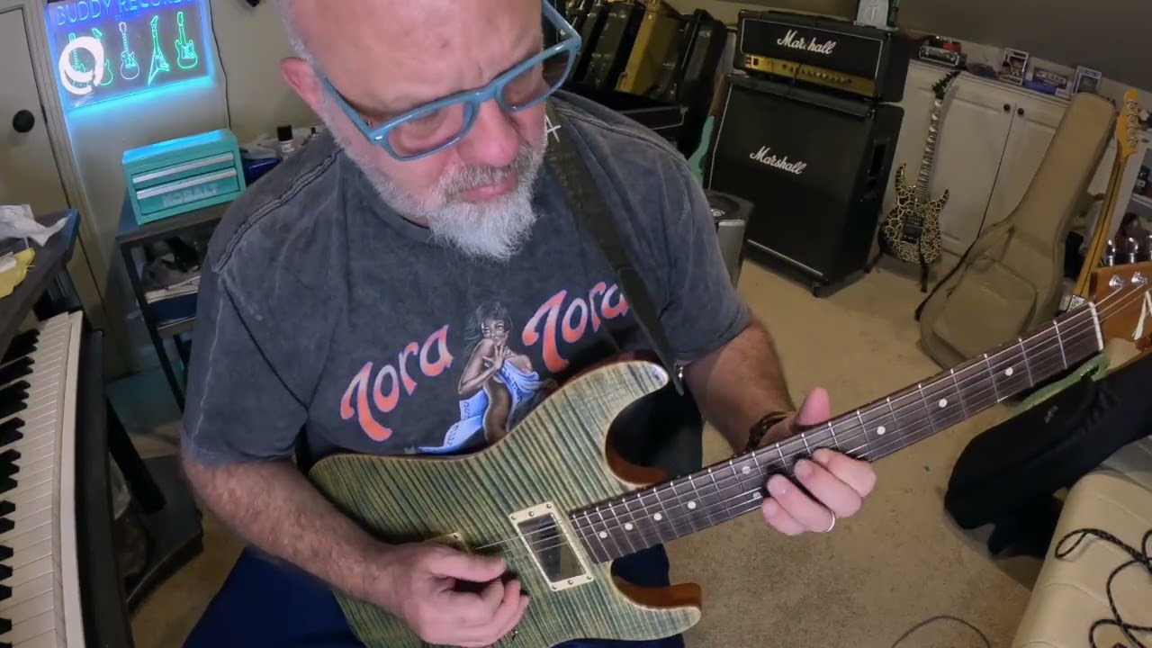 Coming back from Iceland   (Synergy-Friedman BE-DLX)