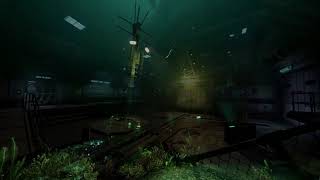 SOMA Theta & ocean ambience