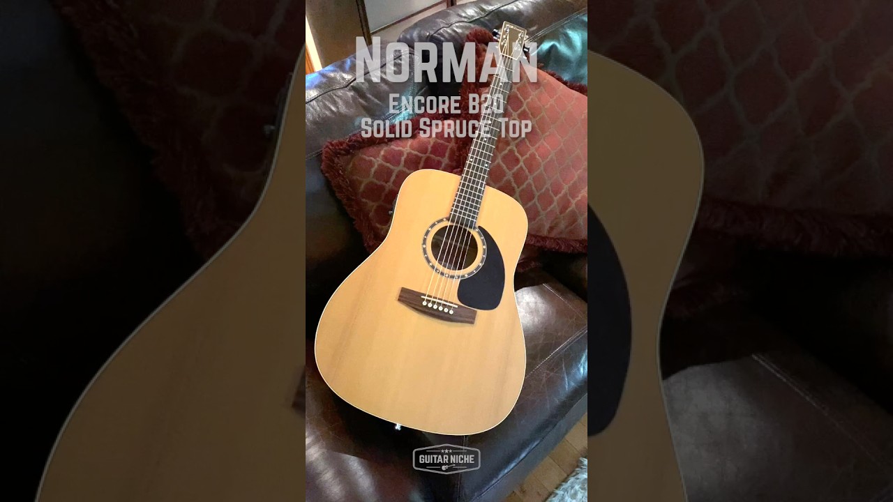 👁️ Norman Encore B20 Solid Spruce Top #plainjane #understated