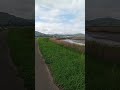 中村雅俊 【ざっくばらん】