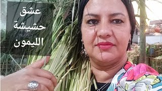 نسخة من لايف للرد على استفساراتكم