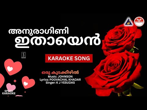 അനുരാഗിണീ ഇതാ എൻ - ഒരു കുടക്കീഴിൽ | HD Karaoke with Lyrics | Johnson | Poovachal Khadar | Yesudas