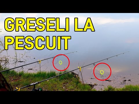 Video: Puteți hrăni marii pescari?