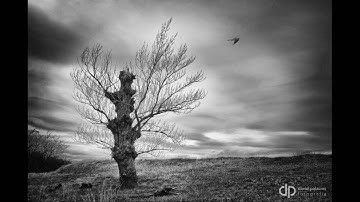 The Lost Song, Pt. 2 (Anathema)