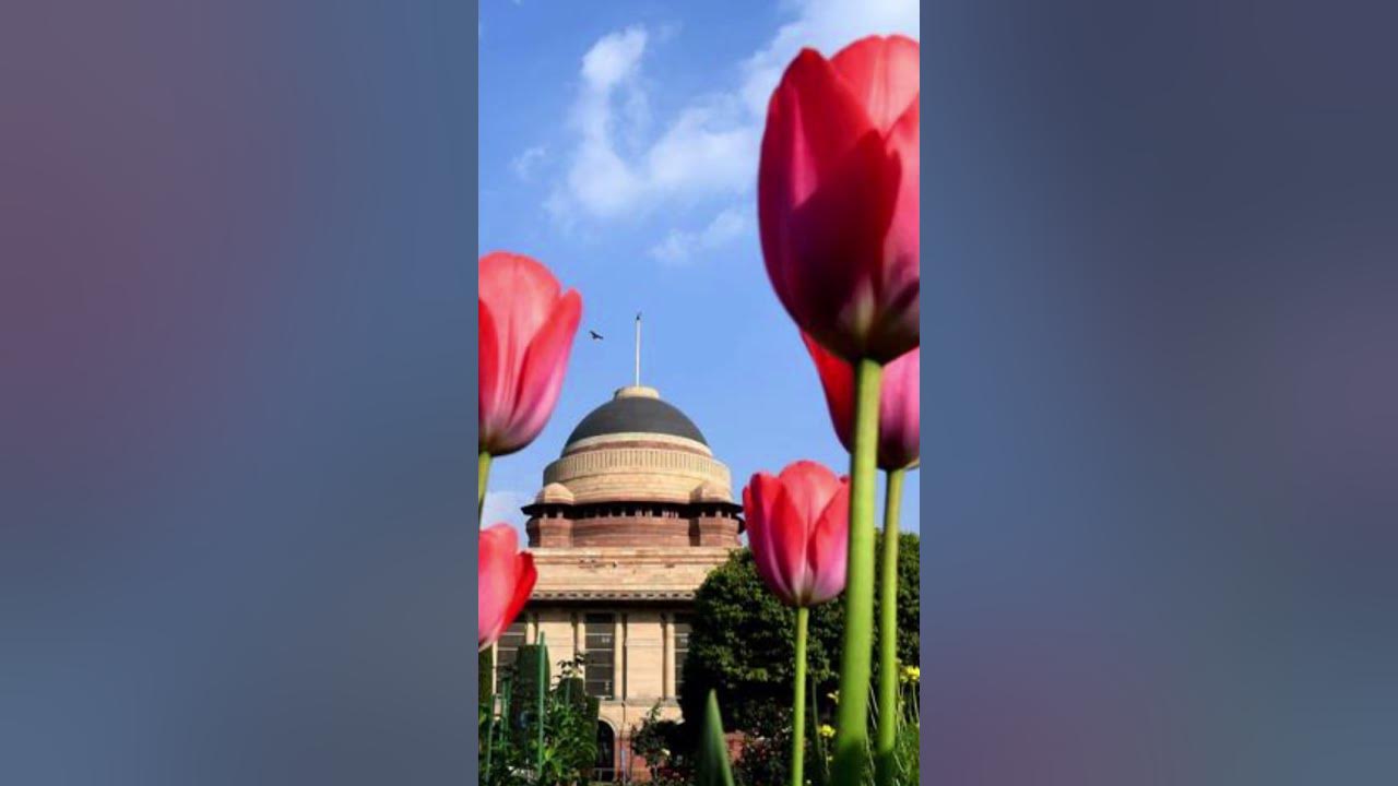 mughal-garden-delhi-2023-renamed-amrit-udyayan-shrots-youtube