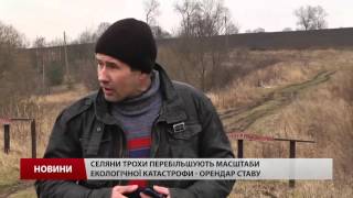 На водосховищі поблизу Перемишлян масово загинула риба На водосховищі поблизу Перемишлян масово загинула риба