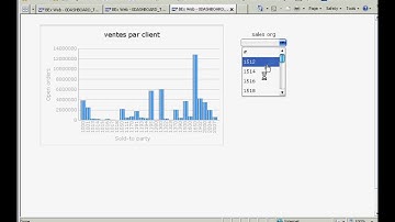 Xcelsius and BW with BICS: step 7 (Xcelsius result)