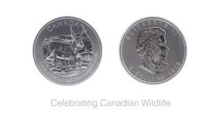 1 oz 2013 Canadian Pronghorn Antelope Silver Coin