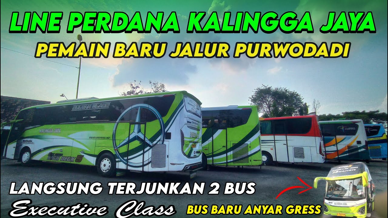 LINE PERDANA KALINGGA JAYA Pemain Baru Jalur Bojonegoro - Purwodadi - Jakarta