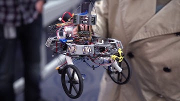 Multi Robot System - Three Heads Are Better Than One