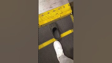 Thumbnail of Cinderella lost her croc on Disneyland escalator..