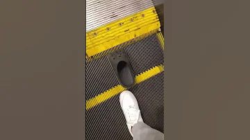 Cinderella Lost Her Croc On Disneyland Escalator 