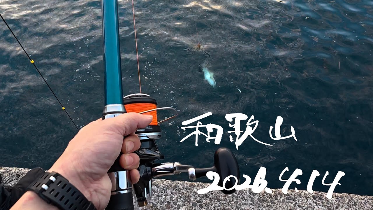2026.4.14 和歌山釣行 【前半】 - YouTube