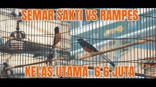 SEMAR SAKTI  MAU SF/BF (NO 22) X (NO 02) RAMPES  ANDRI BOLANG | TIKET 6.6 JUTA MASTERPIECE ARENA