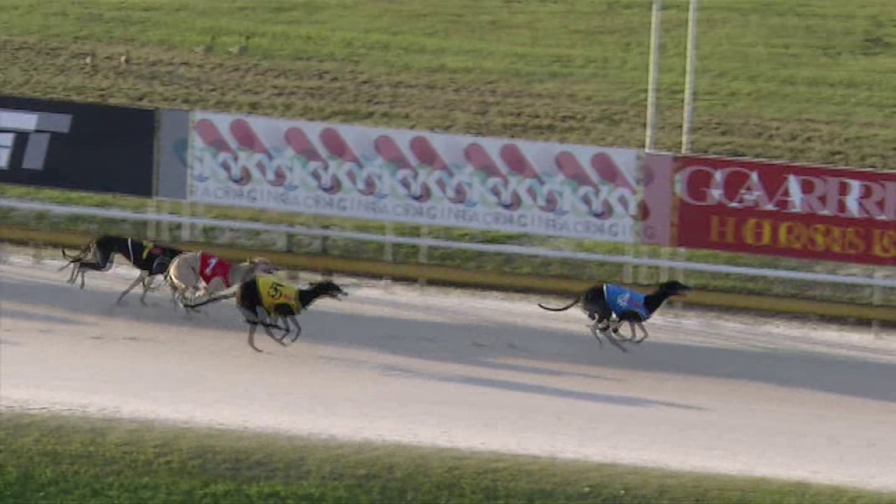 AlbionPark28062017Race5 YouTube