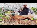 30-30 drops Big Florida Buck!!!