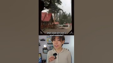 Why do lightnings strike trees? #physics #science