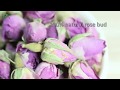 Rose Tea - Pink Dried Rose Buds Flower Tea