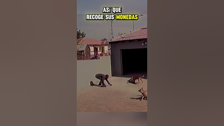 "Ladrón enfrenta a dos perros guardianes y un vecino lo complica aún más😲🐶"