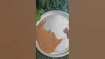 سوق الاقاشي نيالا السودان نيالا دارفور 