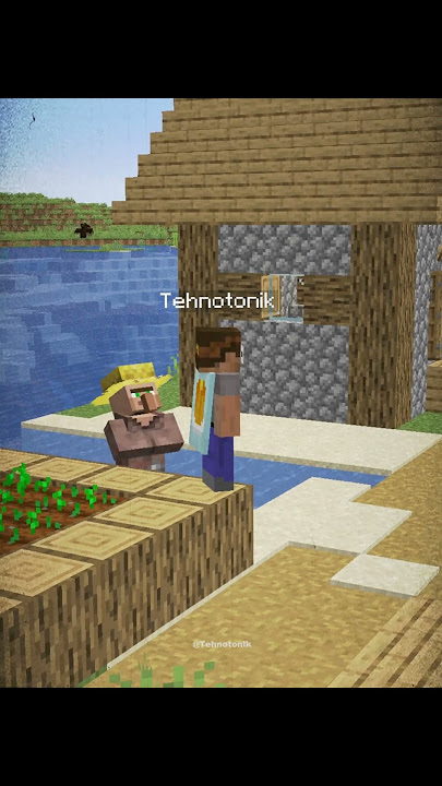 Minecraft Pirate Seed Moment