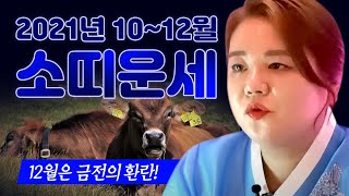 2021년 금전으로 치고 나가는 마지막 삼재!소띠운세 하반기운세전라도광주점집 광주점집 전주점집 태극신당