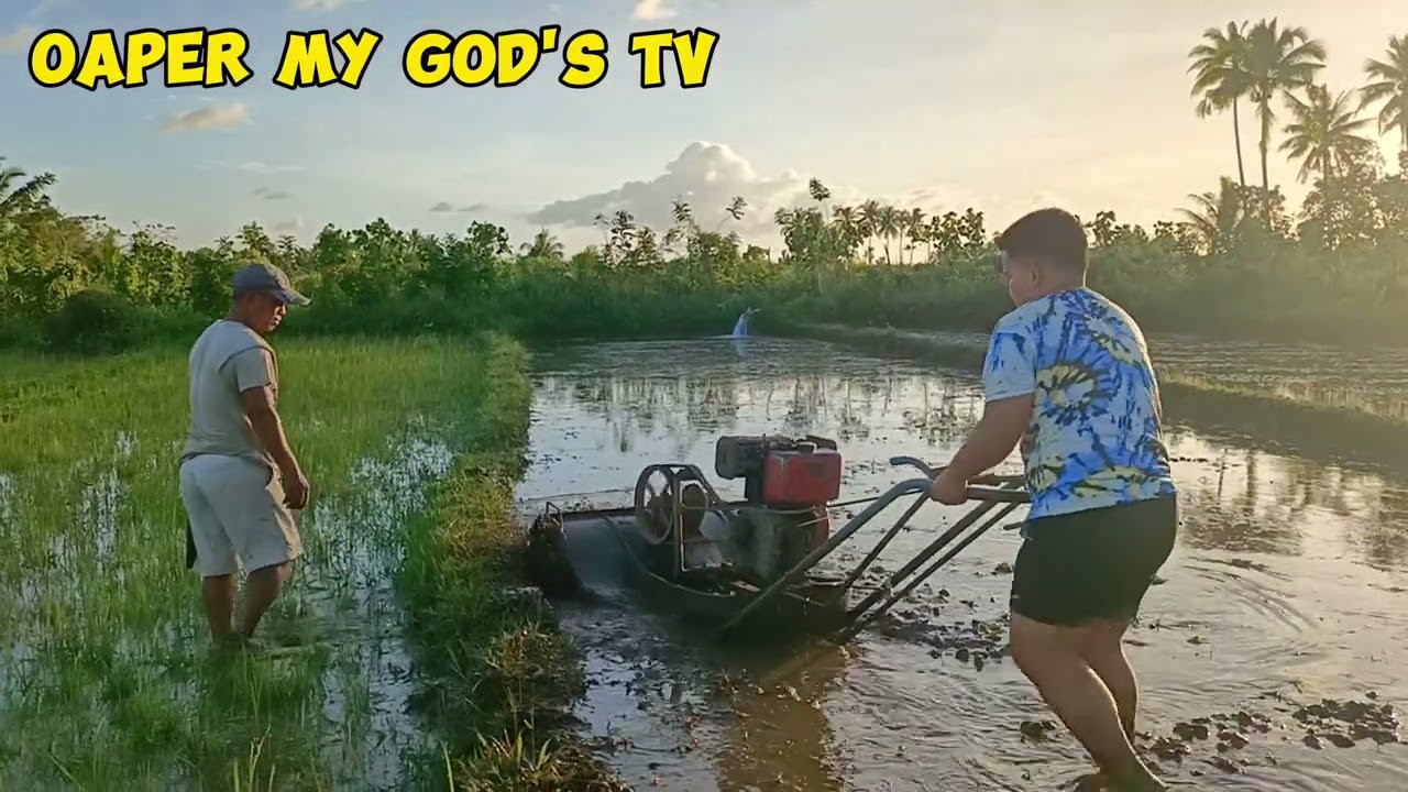 first time mogunit og turtle