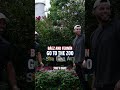 Cardinals Players Take Over the Zoo 😂 | St. Louis Cardinals
