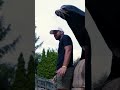 Cardinals Players Take Over the Zoo 😂 | St. Louis Cardinals