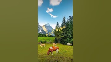 #فَسُبۡحَـٰنَ ٱللَّهِ حِینَ تُمۡسُونَ وَحِینَ تُصۡبِحُونَ_سورة الروم#Gamal Belkan