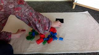 Lesson   Sorting Challenge   Attribute Blocks