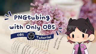 How to Have a PNG Model with Only OBS
