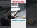 90%のプレイヤーが知らない気がするのサイコブレイクの小ネタ
