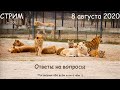 Стрим 8 августа