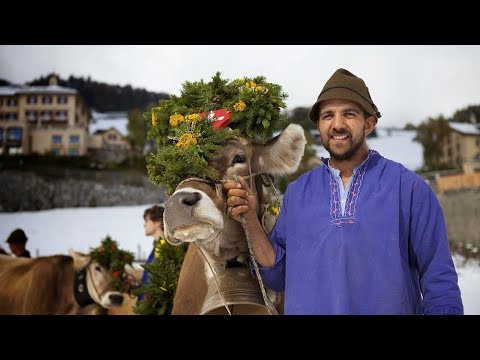 Daar kwam ene boer uit Zwitserland