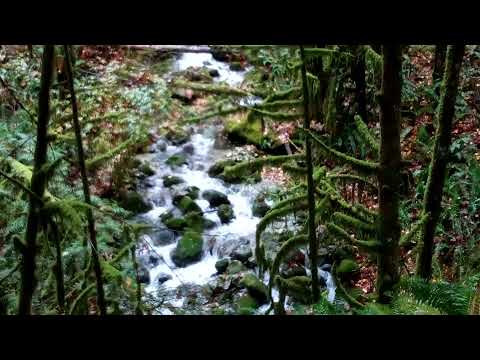 RAMBO FALLS 3. GOLDEN EARS PARK. MOVIE FILMING LOCATION.