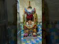 ishqa ve#shortvideo #vairalvideo #song #minivlog #rajasthaniclture