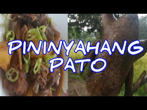 Video: Paano Mag-bake Ng Pato Ang Iyong Manggas