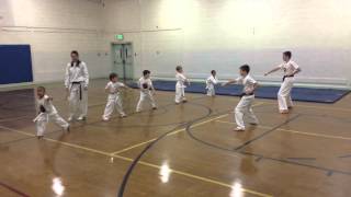 Tiny Tigers Taekwondo punches